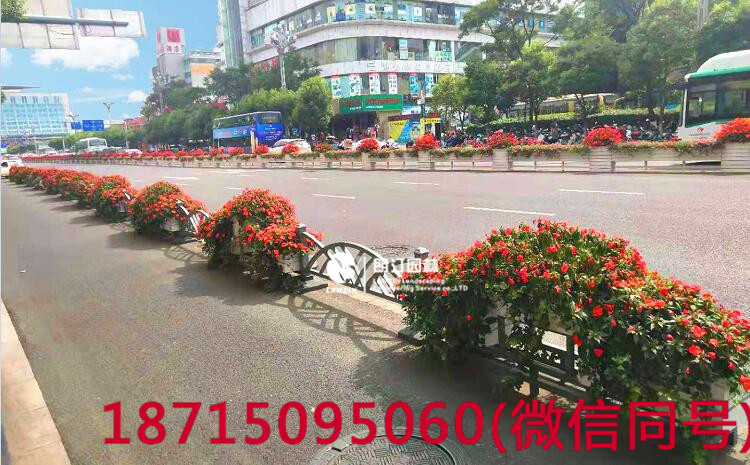 云南昆明北京路隔离带花箱大大提升道路景观