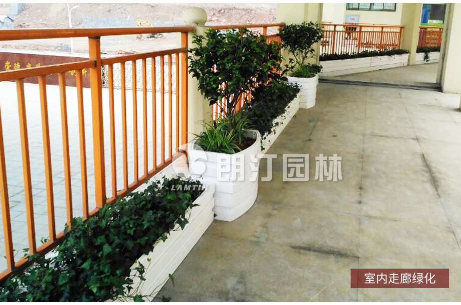 走廊阳台景观绿化花箱