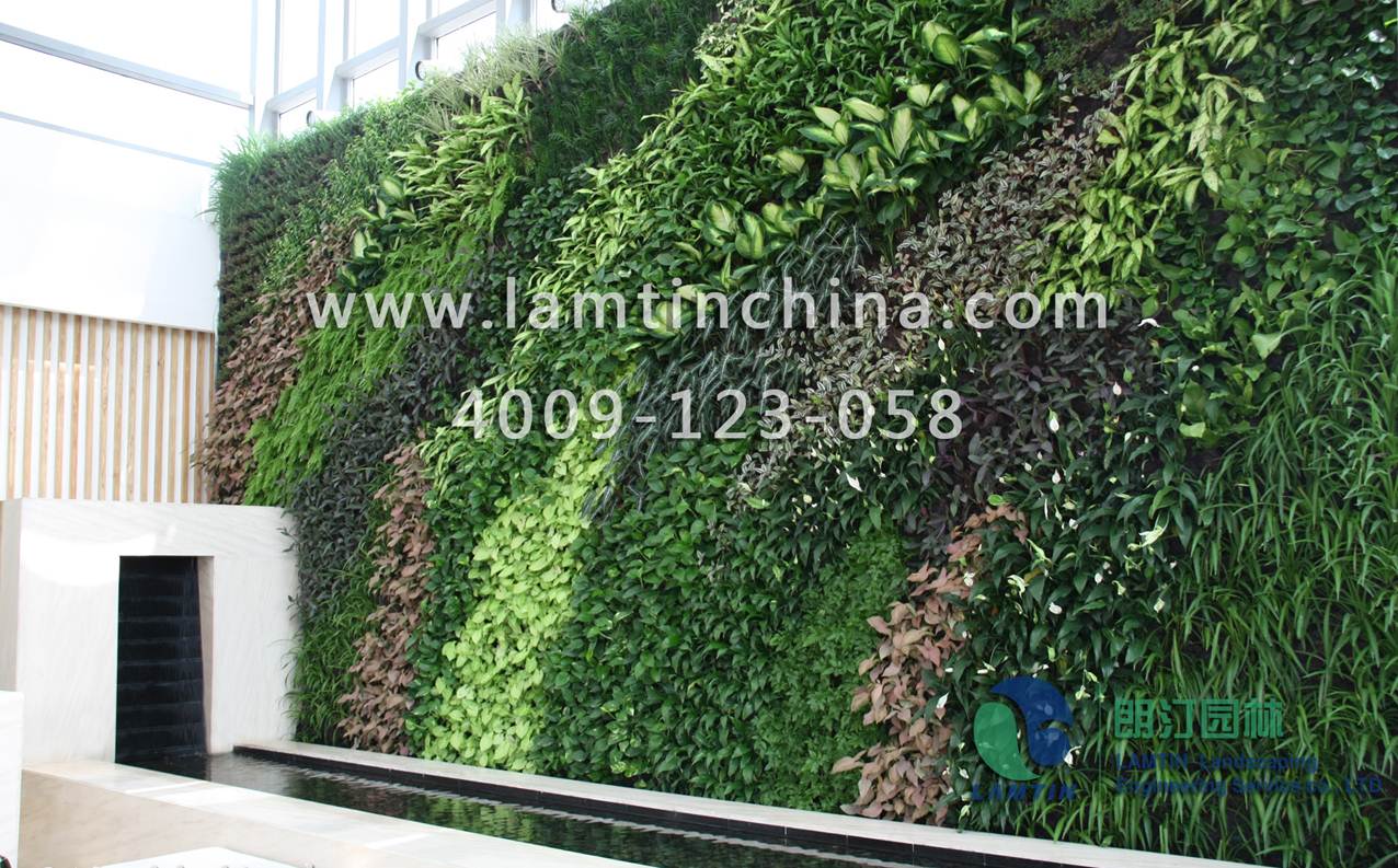 墙体绿化公司