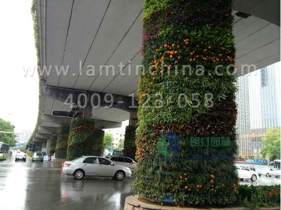 垂直绿化花盆