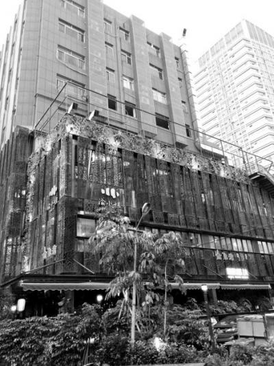 垂直绿化 垂直绿化