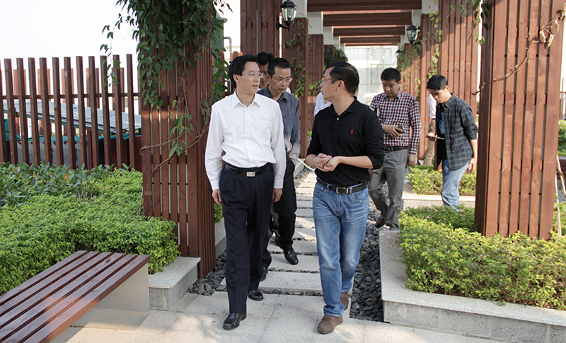 垂直绿化 垂直绿化