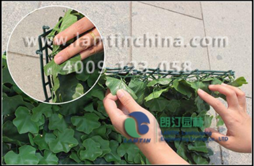 仿真植物墙 仿真植物墙