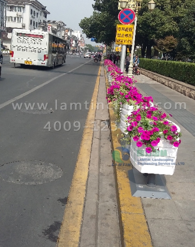 道路隔离花箱