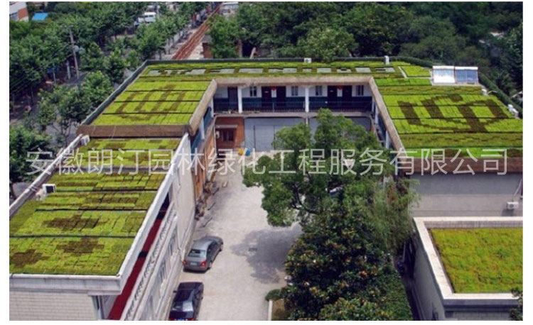 屋顶绿化花盆