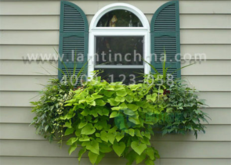 窗台阳台绿化花盆