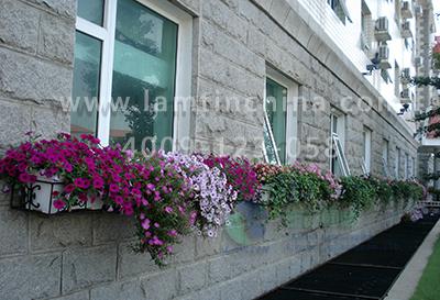窗台阳台绿化花盆