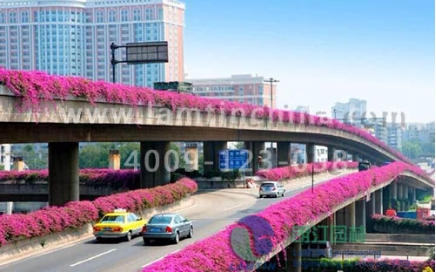 高架桥绿化花盆