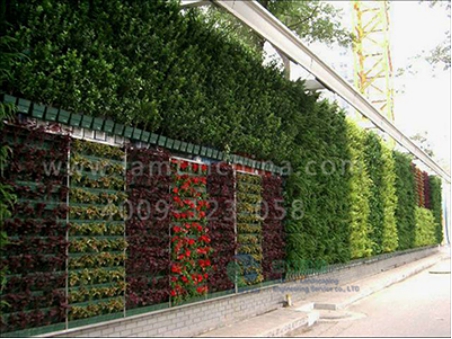 墙体绿化