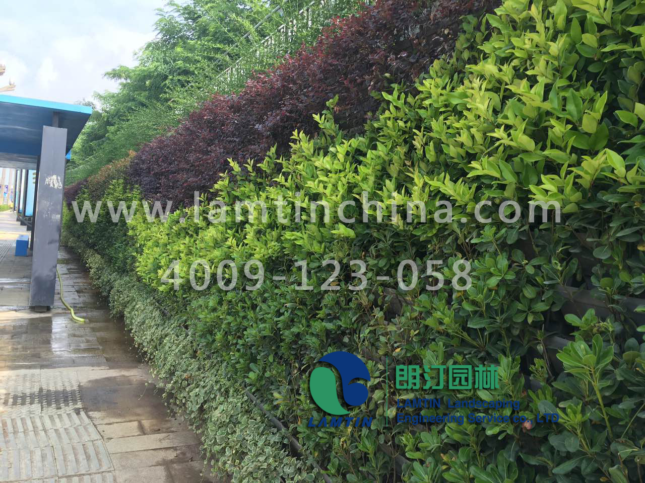 贵州7000平墙体绿化