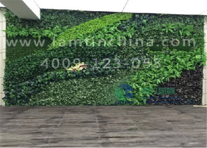 安徽朗汀墙体绿化