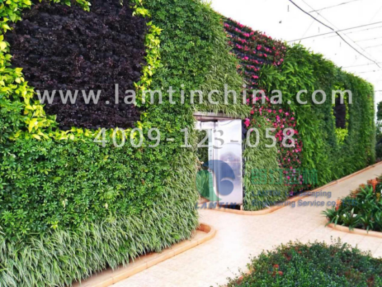 安徽朗汀植物墙