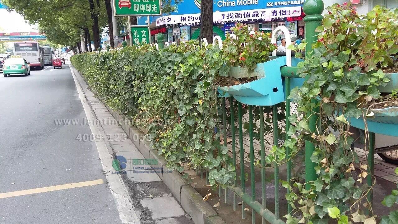 护栏绿化