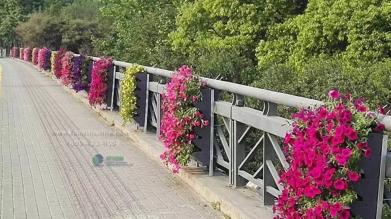 护栏绿化 护栏绿化