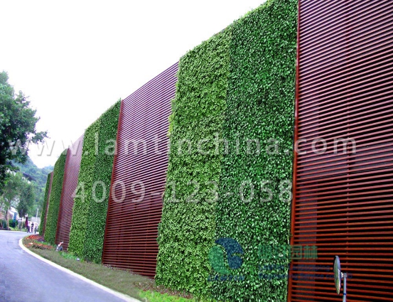 墙面绿化