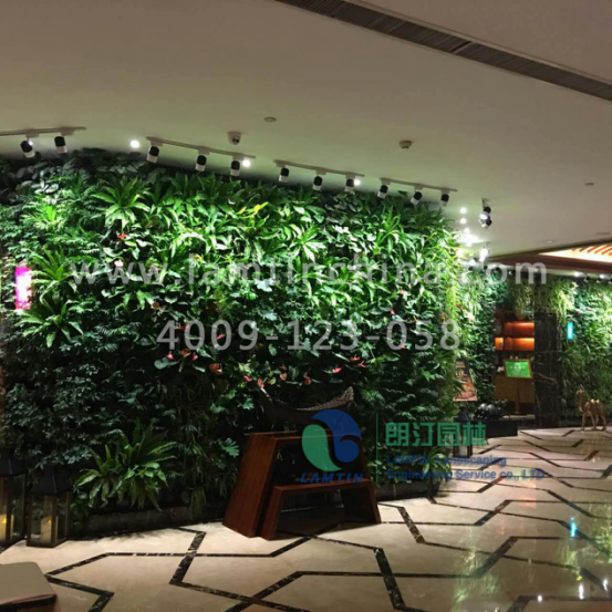 植物墙 植物墙
