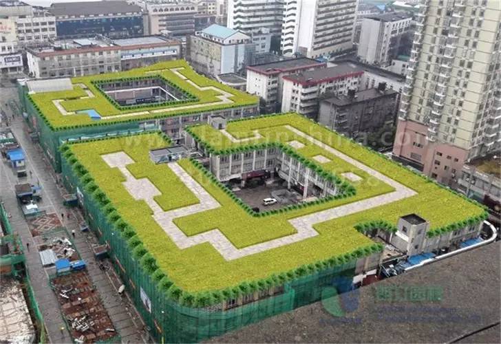 屋顶绿化 屋顶绿化