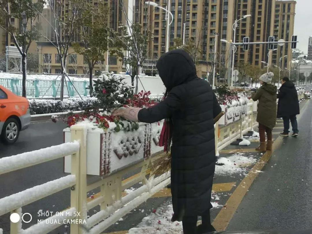 大雪里的水墨丹青艺术花箱